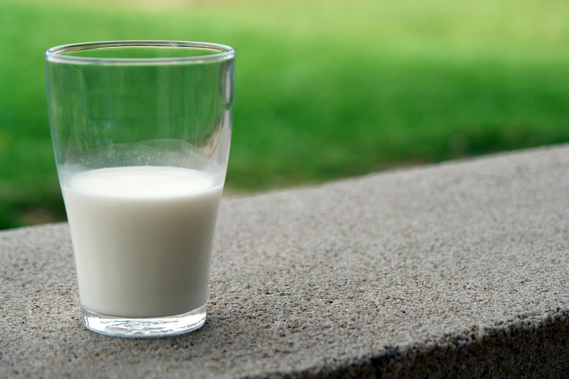 Glass of milk on a concrete ledge, with a blurred green grassy background.