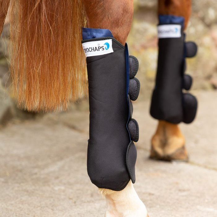 K2F Cryochaps: a horse wearing a pair of black boots with ice packs on its legs .