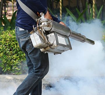 professional pest control services in Toowoomba
