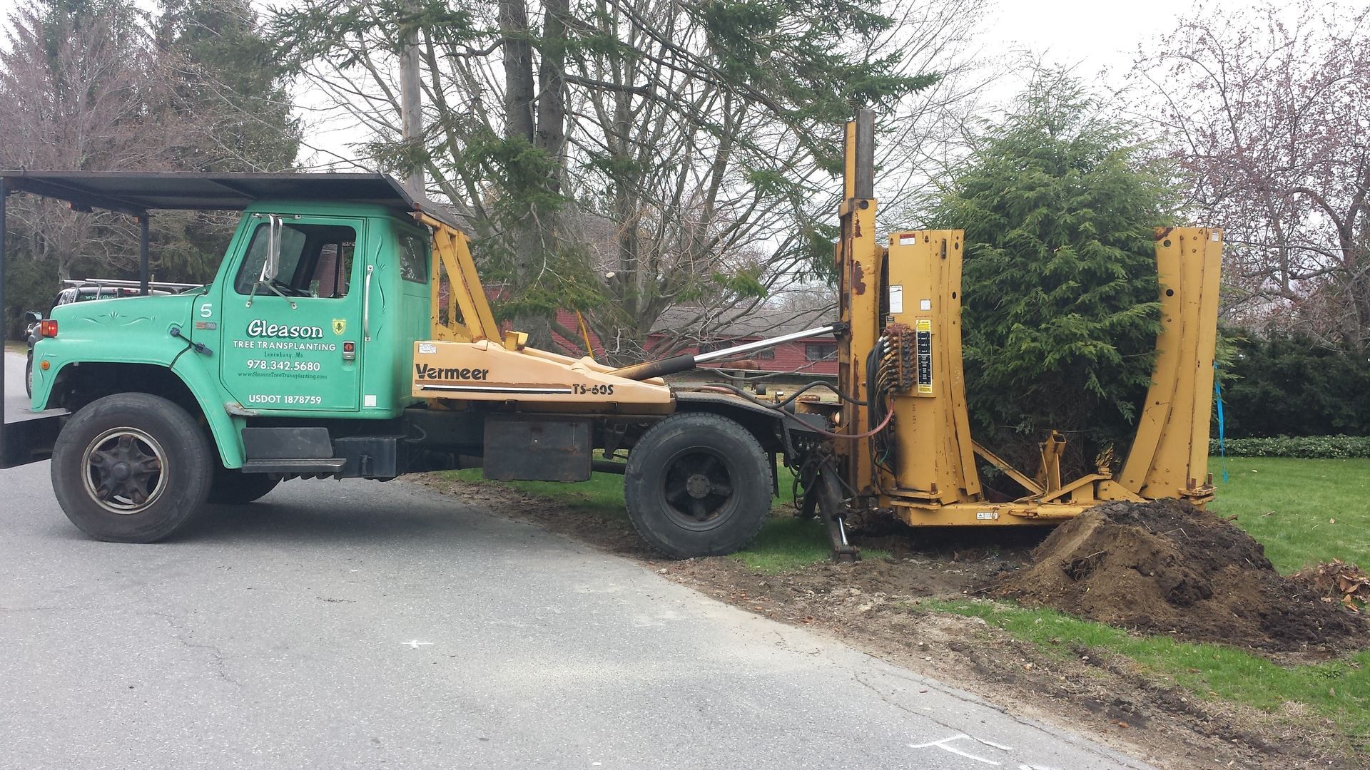 A man is cutting a tree with a chainsaw in a park.