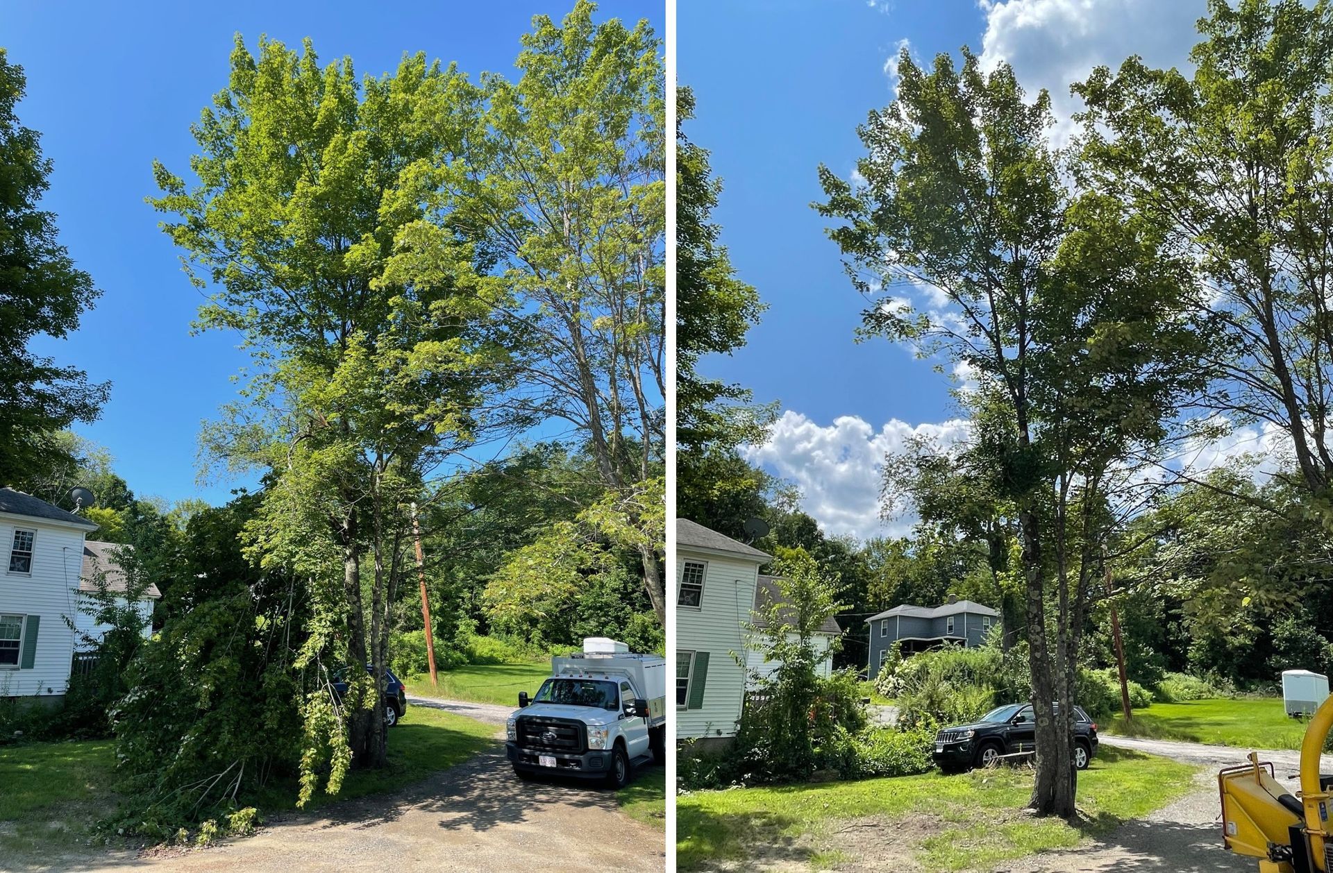 removing broken limbs, and branches from storm damage
