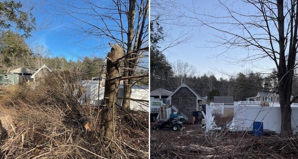 clean up, remove a broken tree from storm damage
