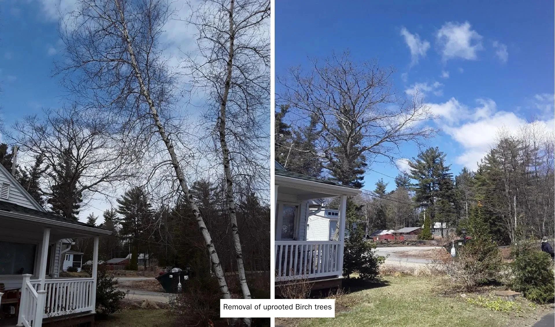 A house with a porch and trees in front of it