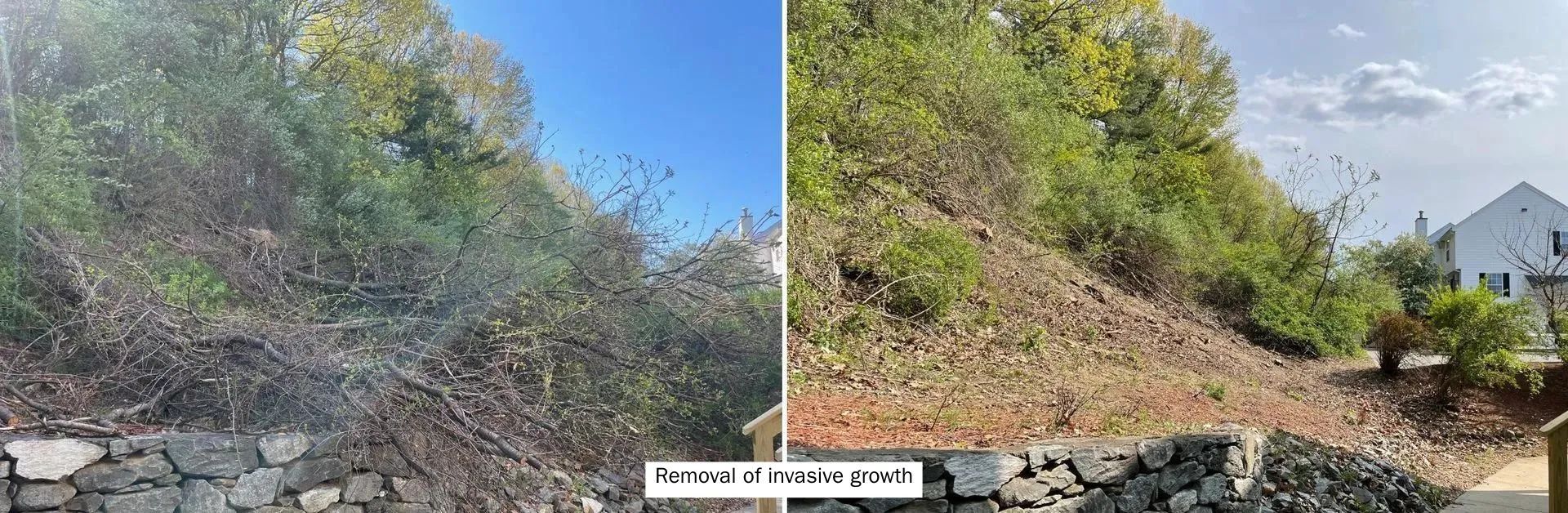 A before and after picture of a hillside with trees and rocks.