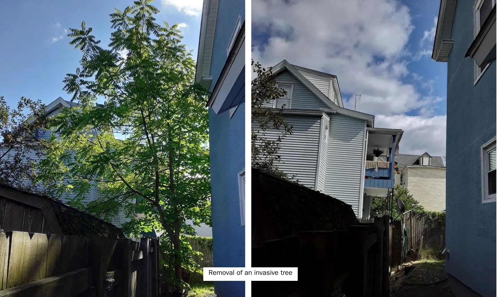 A before and after picture of a house with a tree in front of it