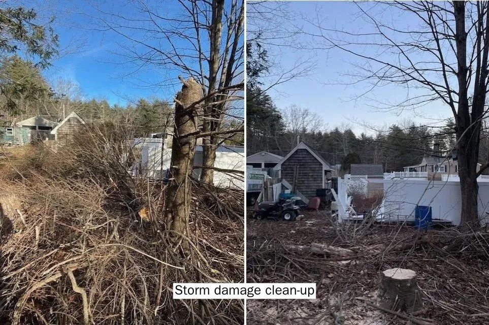 A before and after picture of a tree stump in a yard.