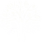 Tree Service in Hobbs, NM | The Tree Cut LLC