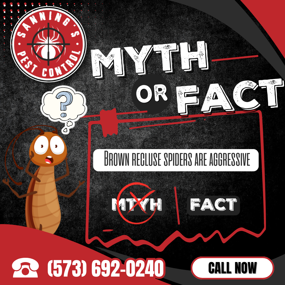 Sanning’s Pest Control infographic showing 