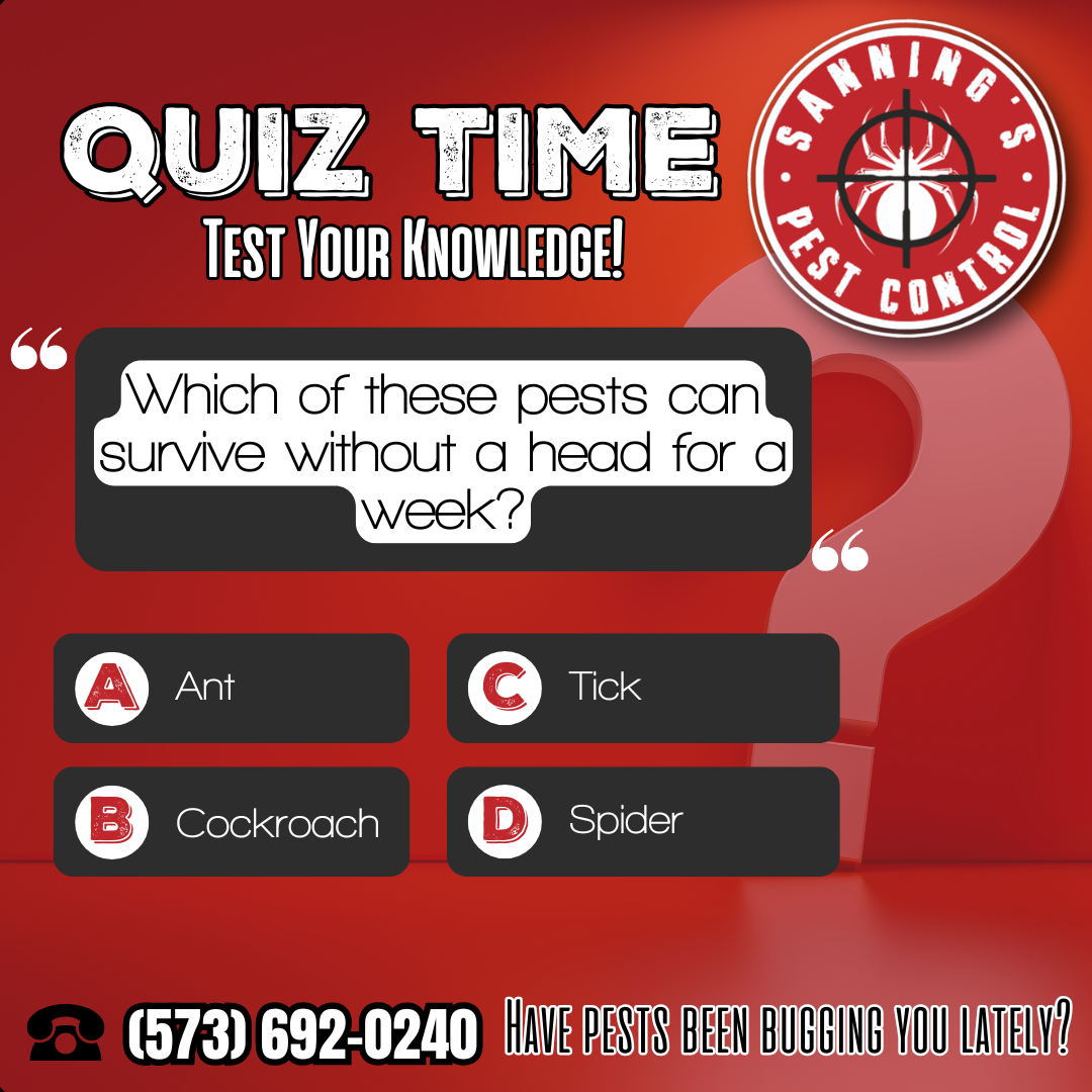 A red quiz graphic by Sanning’s Pest Control asking, 
