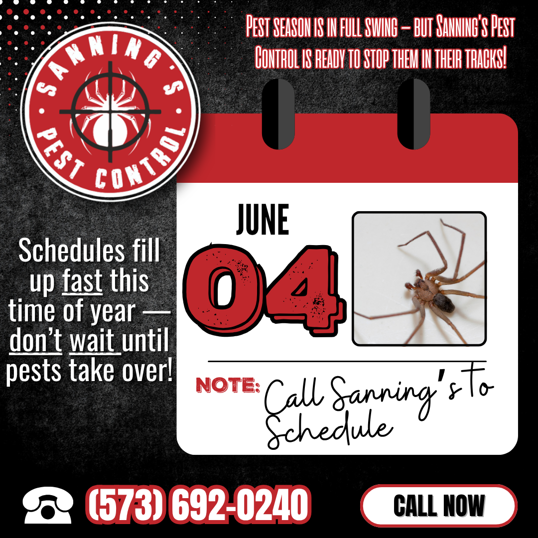 Sanning’s Pest Control ad features a calendar set to June 4th with a spider image, phone number (573) 692-0240, and text.