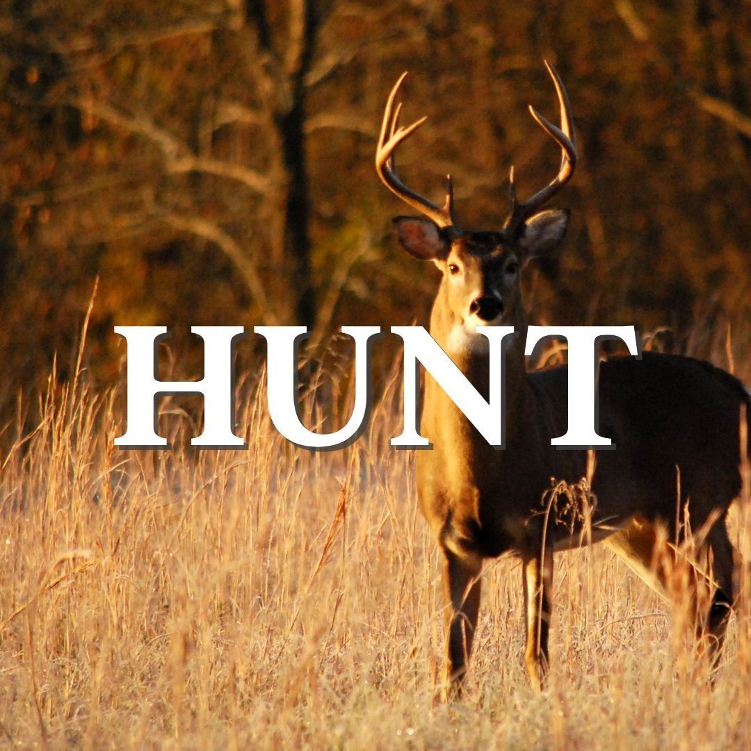 Hunt Deer Alabama Farm Credit