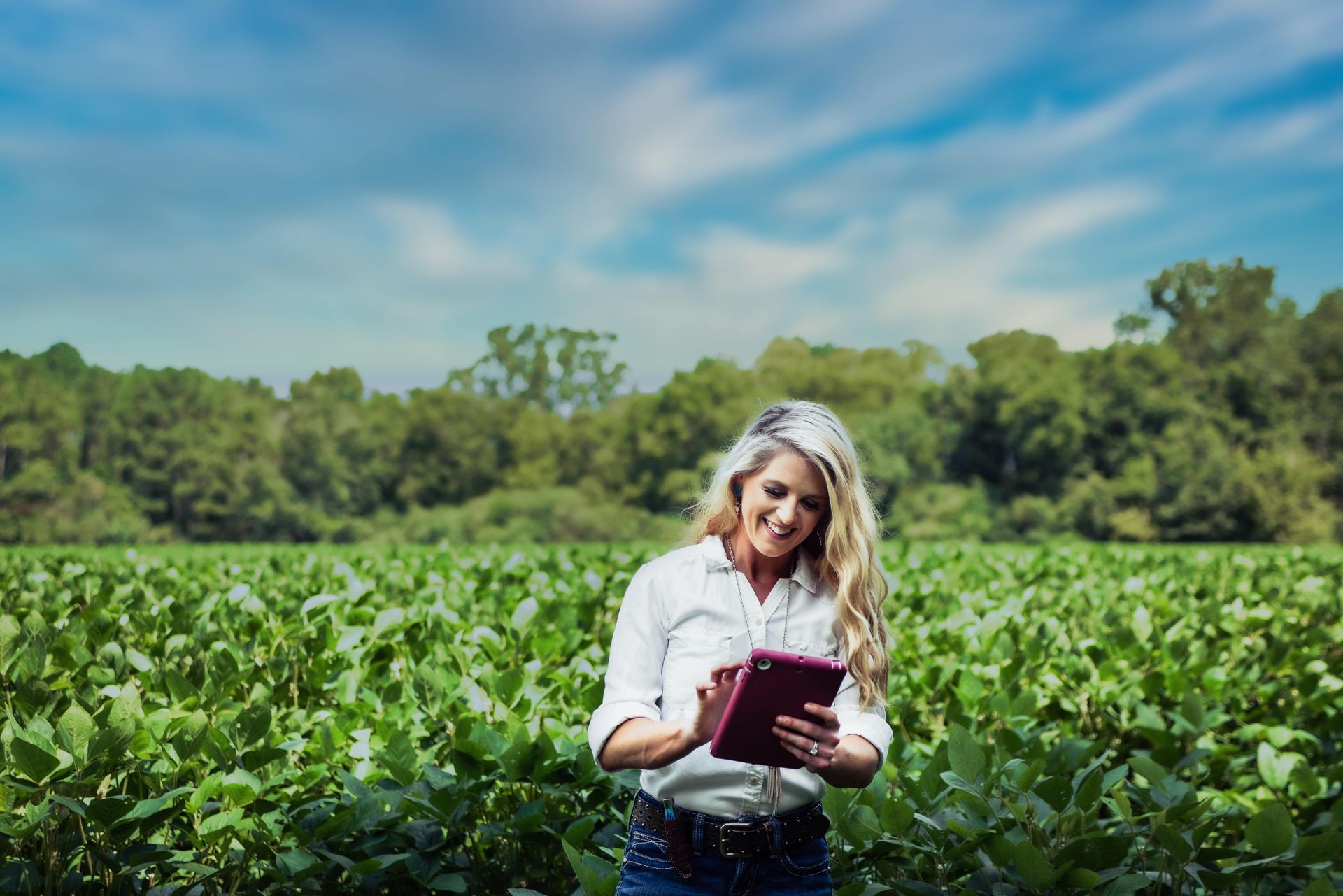 alabama banking online