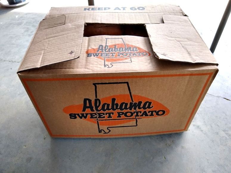 alabama sweet potato press relase