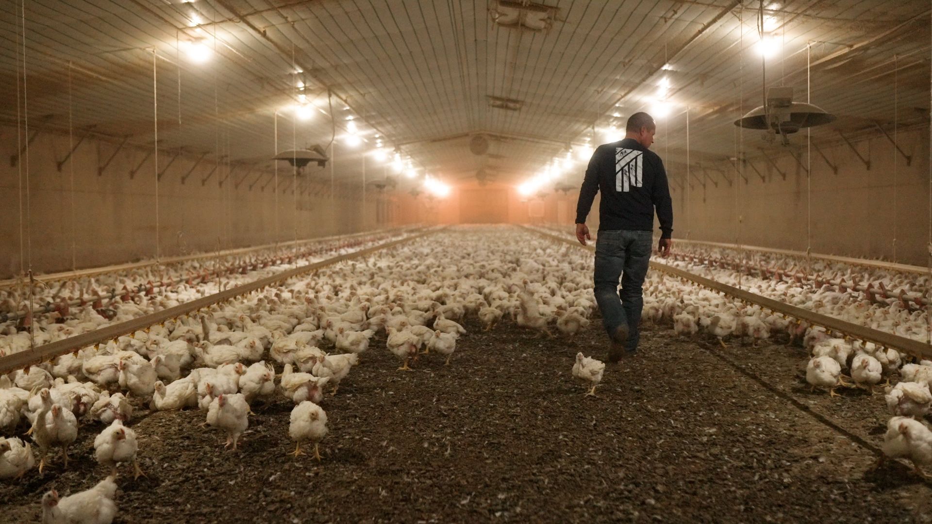 tyler dutton poultry farm