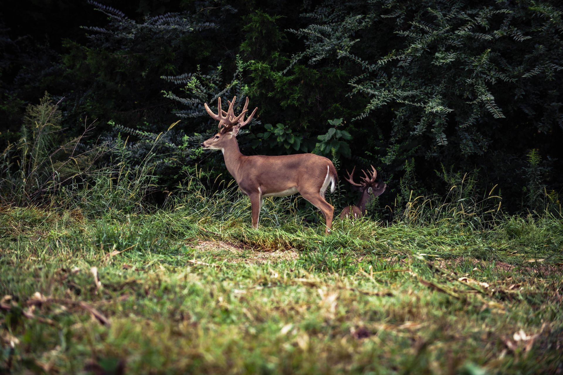 Competitive Interest Rates