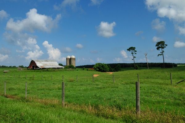 Agribusiness Loans, Farm Scene