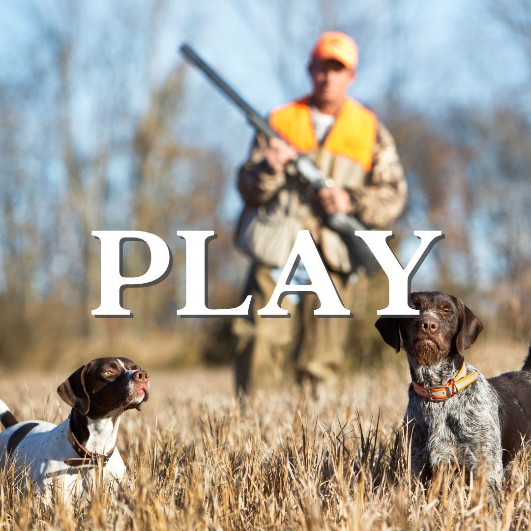 Play Alabama Farm Credit