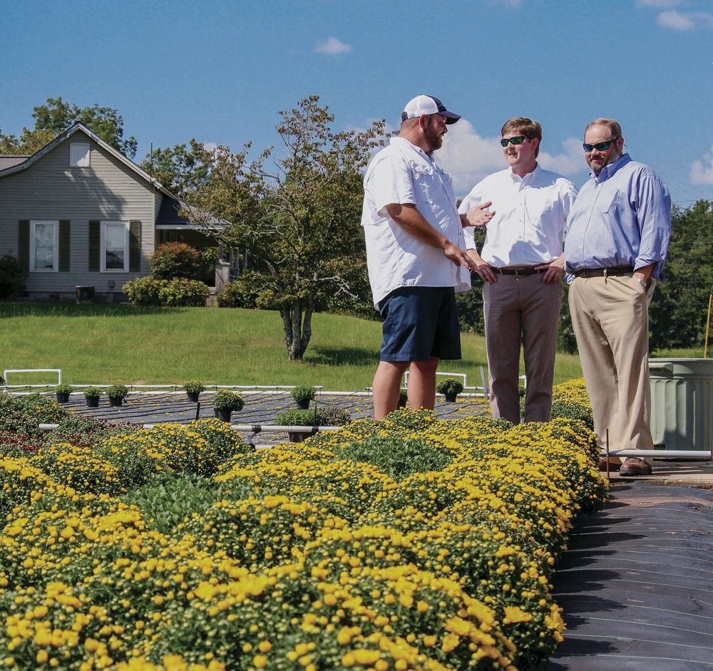 Payouts lower your effective interest rate