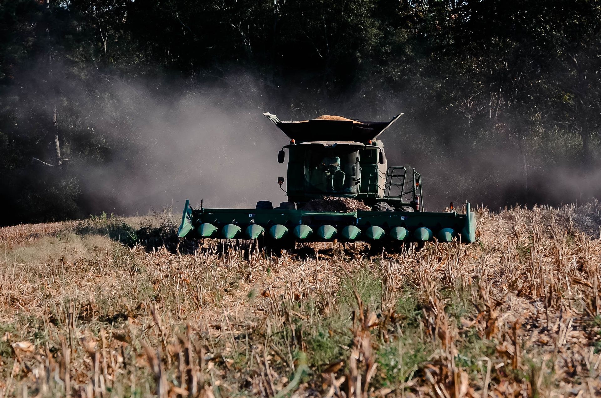 When Going Gets Tough Loans