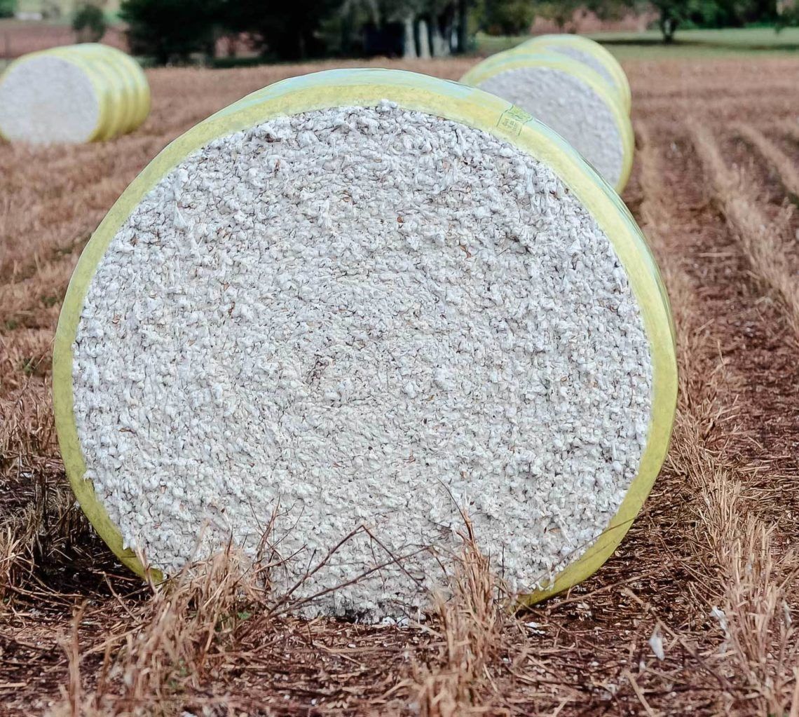 Wire Transfers Cash Management