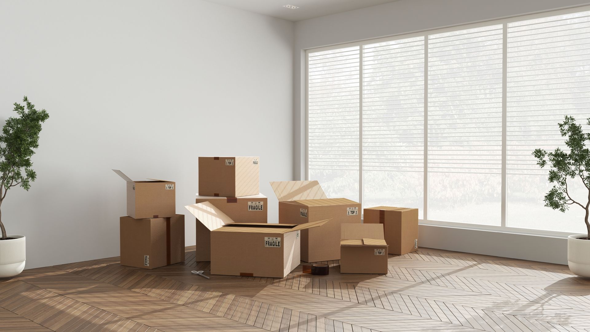 Cardboard moving boxes sit on a wooden floor in a sunlit room with large windows and two potted plants.