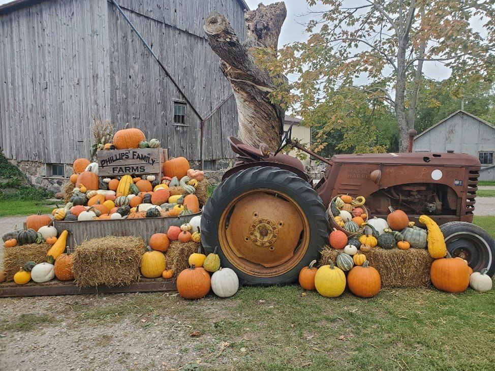 Phillips' Farms 2022 photo display; it features an antique tractor and a large pile of colourful pumpkins and gourds.