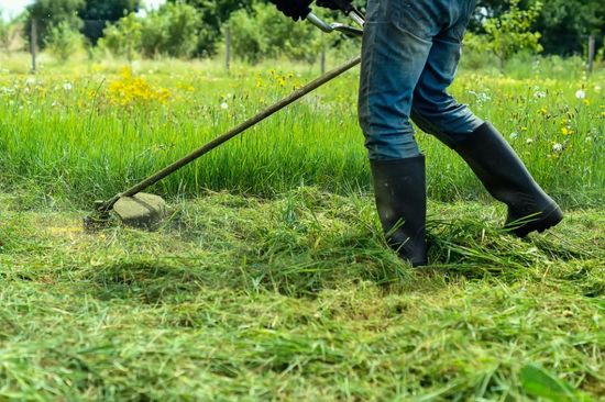 a worker using a grass cutter on a lawn