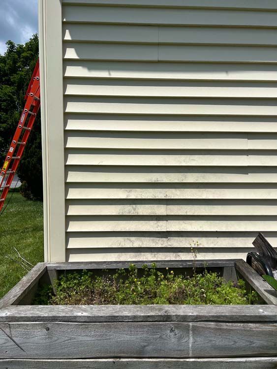 Wooden planter box with weeds below light-colored siding on a building