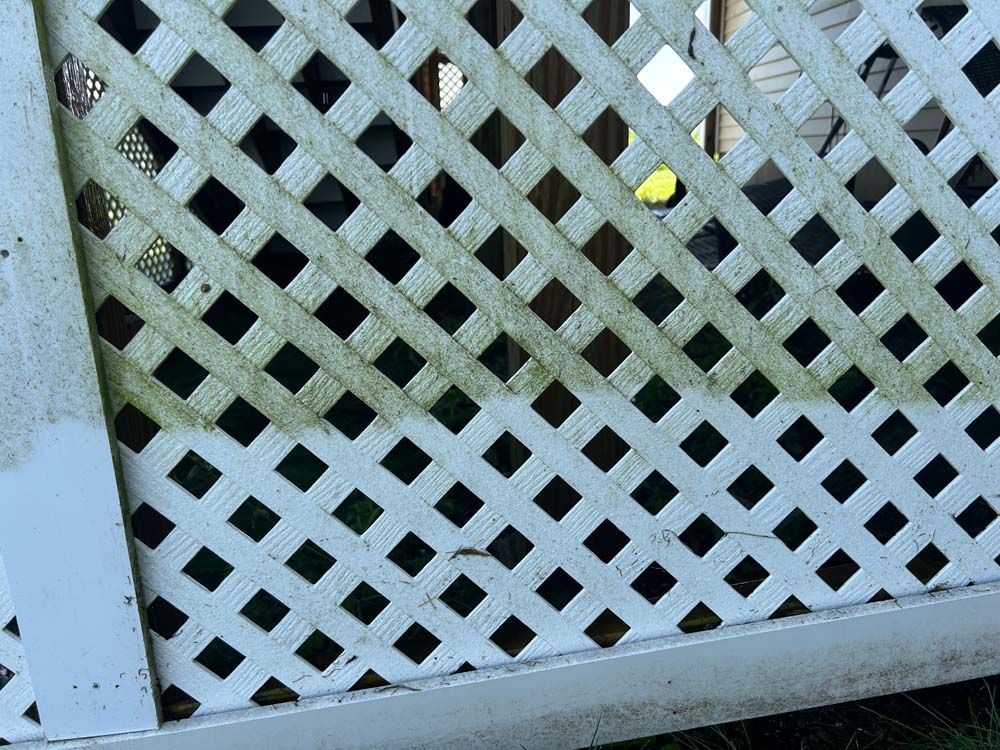 White lattice fence with green algae.