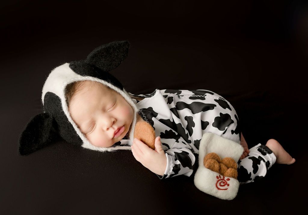 A newborn baby is wearing a cow costume and holding a stuffed animal. fun baby props