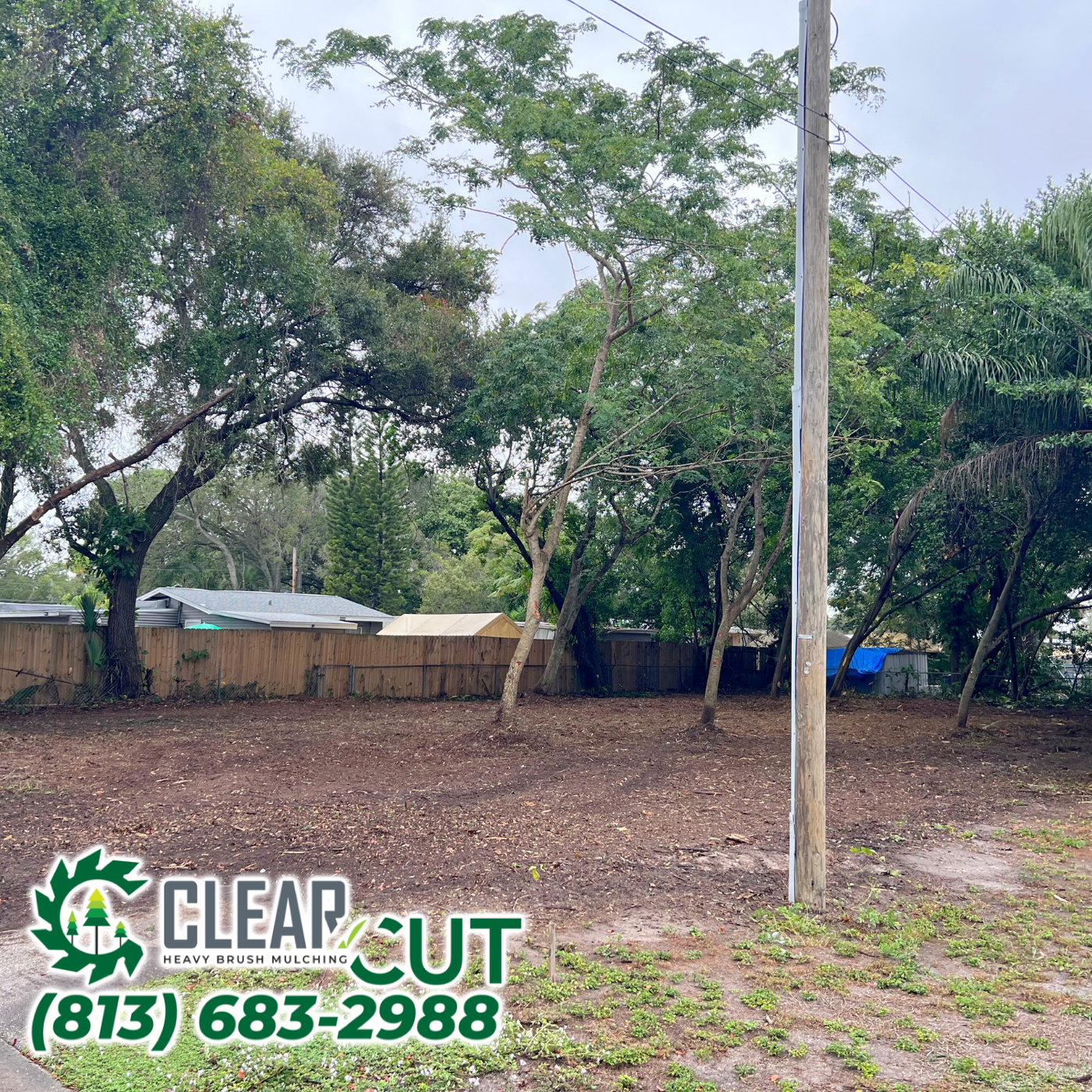 Residential Land Clearing After | Clearwater, FL | Heavy Cut Brush Mulching