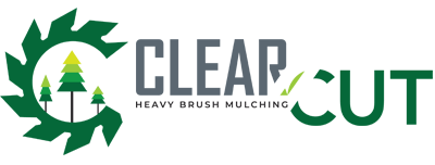 Land Clearing Company | Tampa, FL | Clear Cut Heavy Brush Mulching