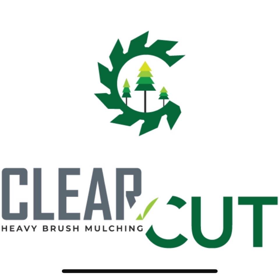 Land Clearing Company | Tampa, FL
