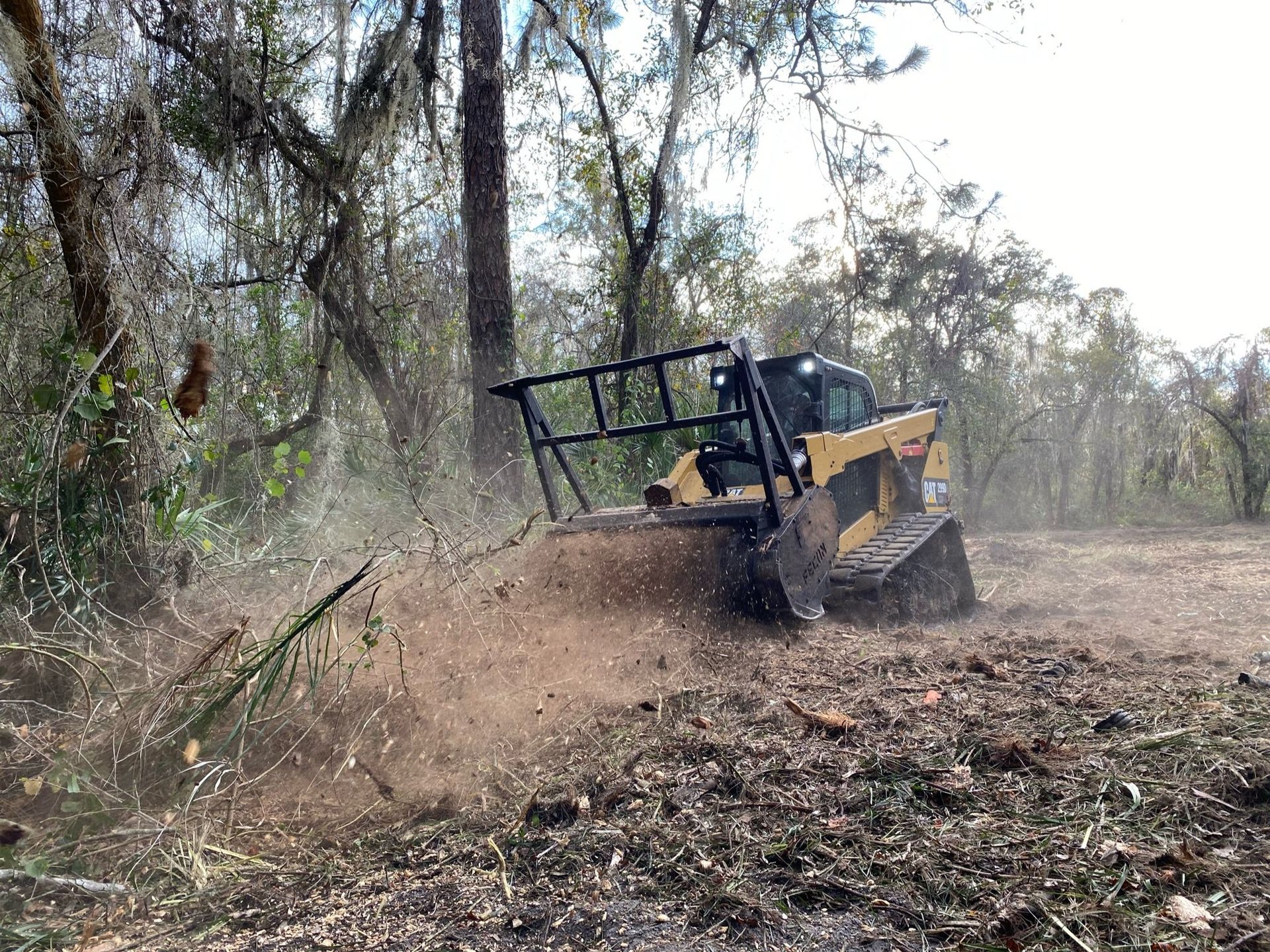 Land Clearing and Mulching Tampa, FL Clear Cut Heavy Brush Mulching