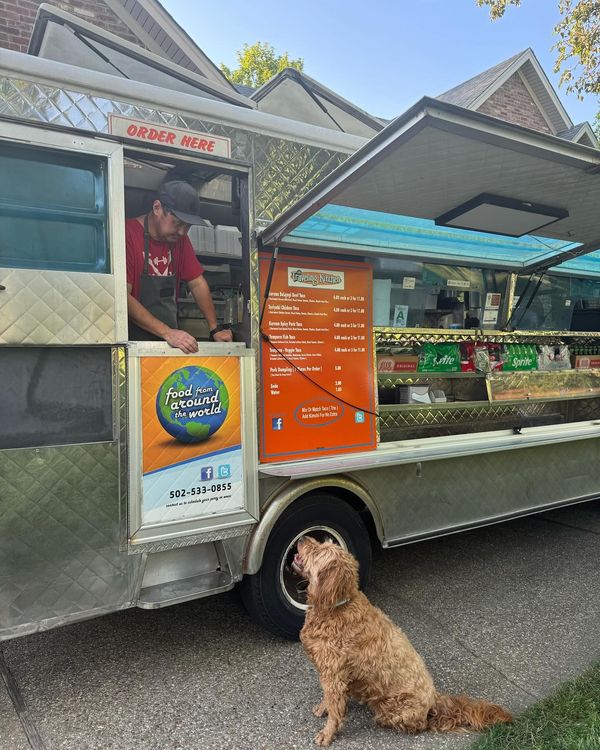 A dog is sitting in front of a food truck.