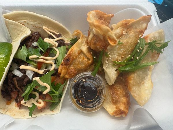 A white styrofoam container filled with tacos and dumplings.