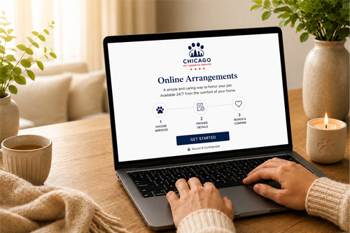 Woman sitting on a couch using a tablet; tablet displays a website with logo and a button.