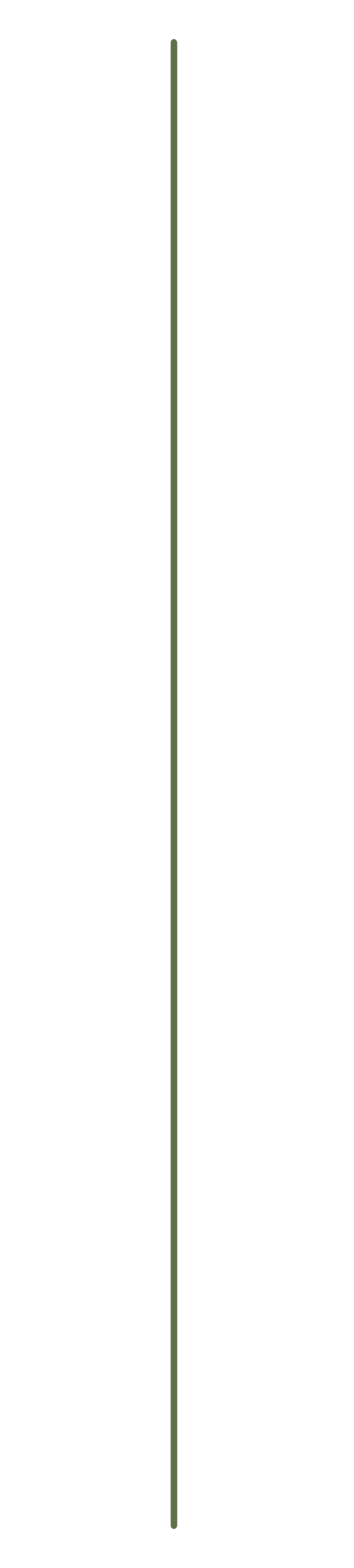 A vertical, thin gray line against a white background.