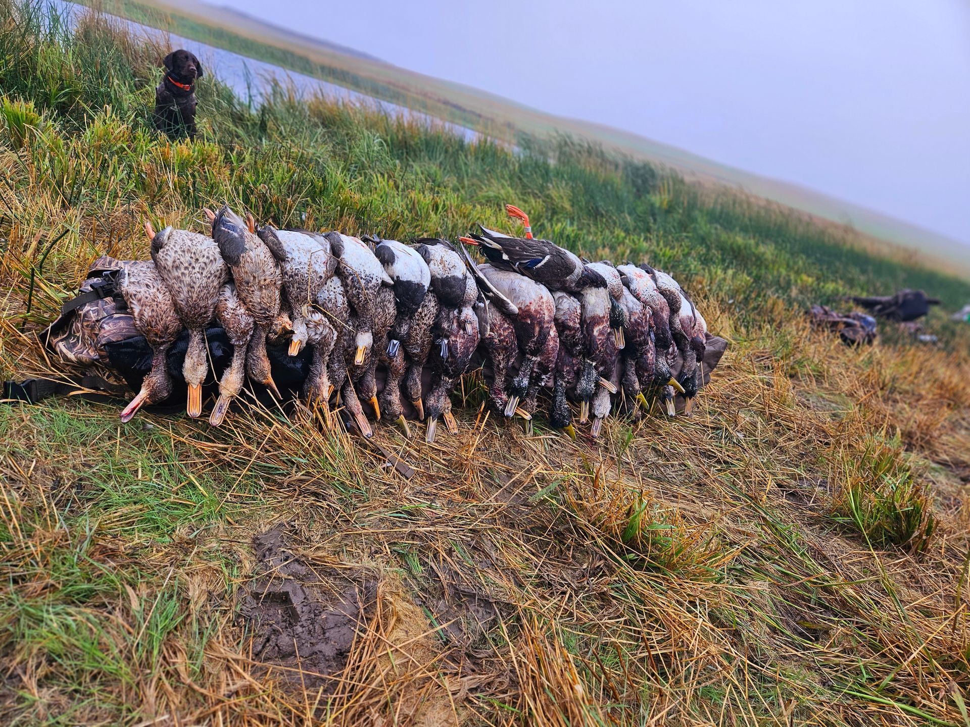 duck hunts in the fall