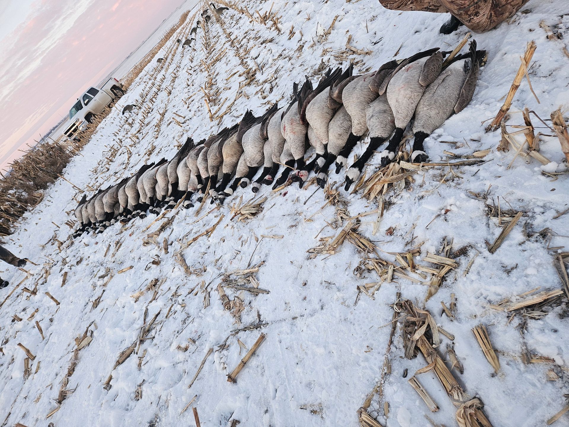 late season hunts ND