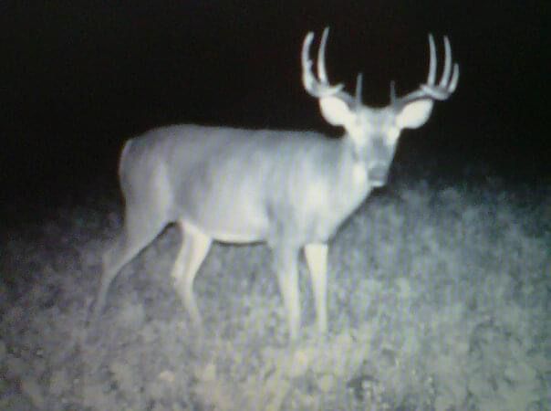 North Dakota deer hunting outfitter