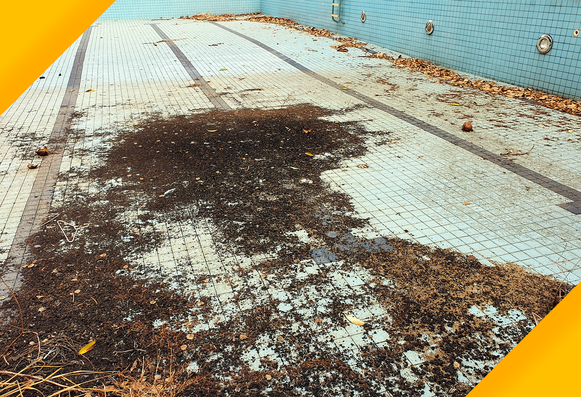 Pool Removal and Demolition Indianapolis