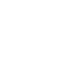 Hippo Demo Logo