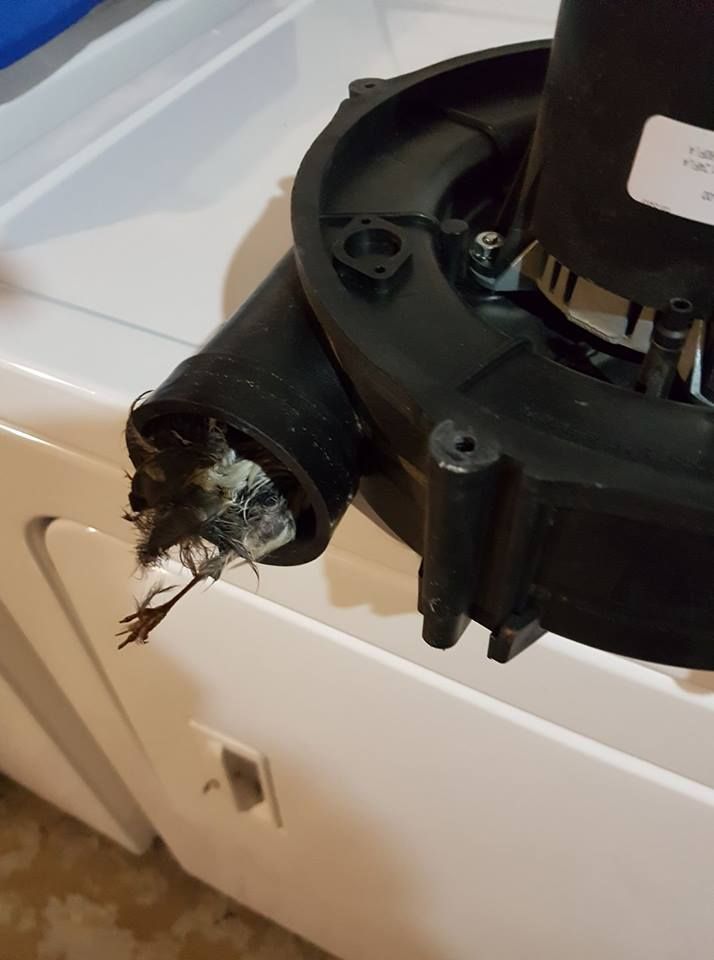 A black object is sitting on top of a white washer and dryer.