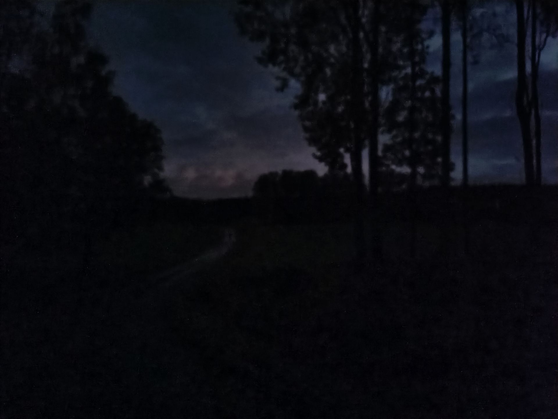 Man anar en grusväg i bilden, som är tagen med mobiltelefonens mörkerläge.