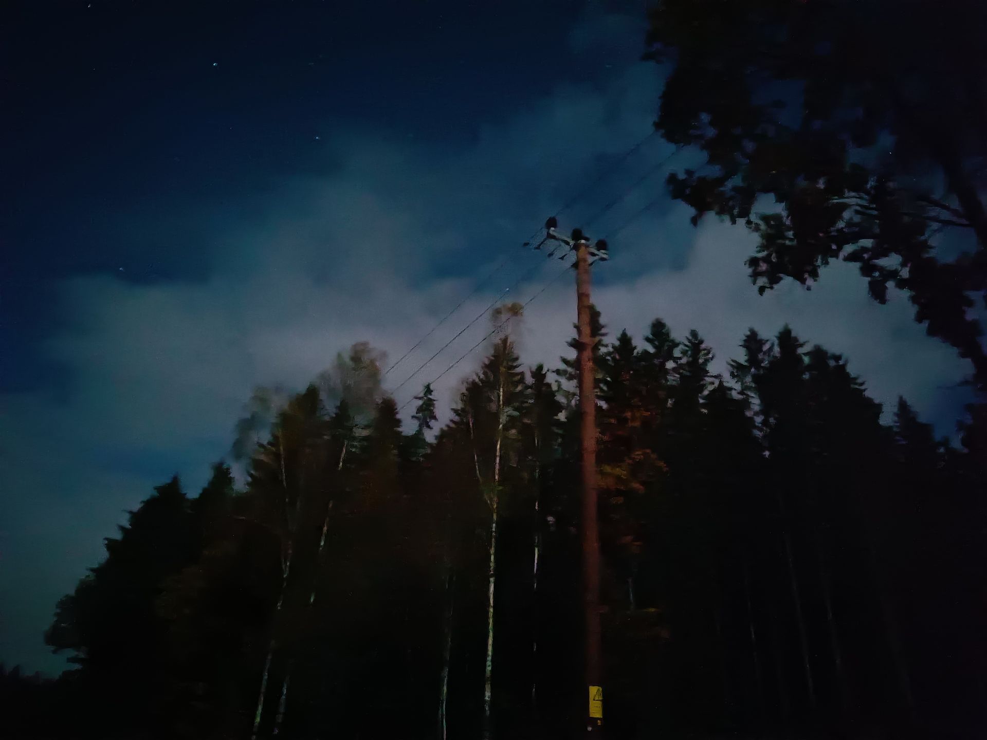 elledning framför skogsparti, fotat med mobiltelefonens mörkerläge