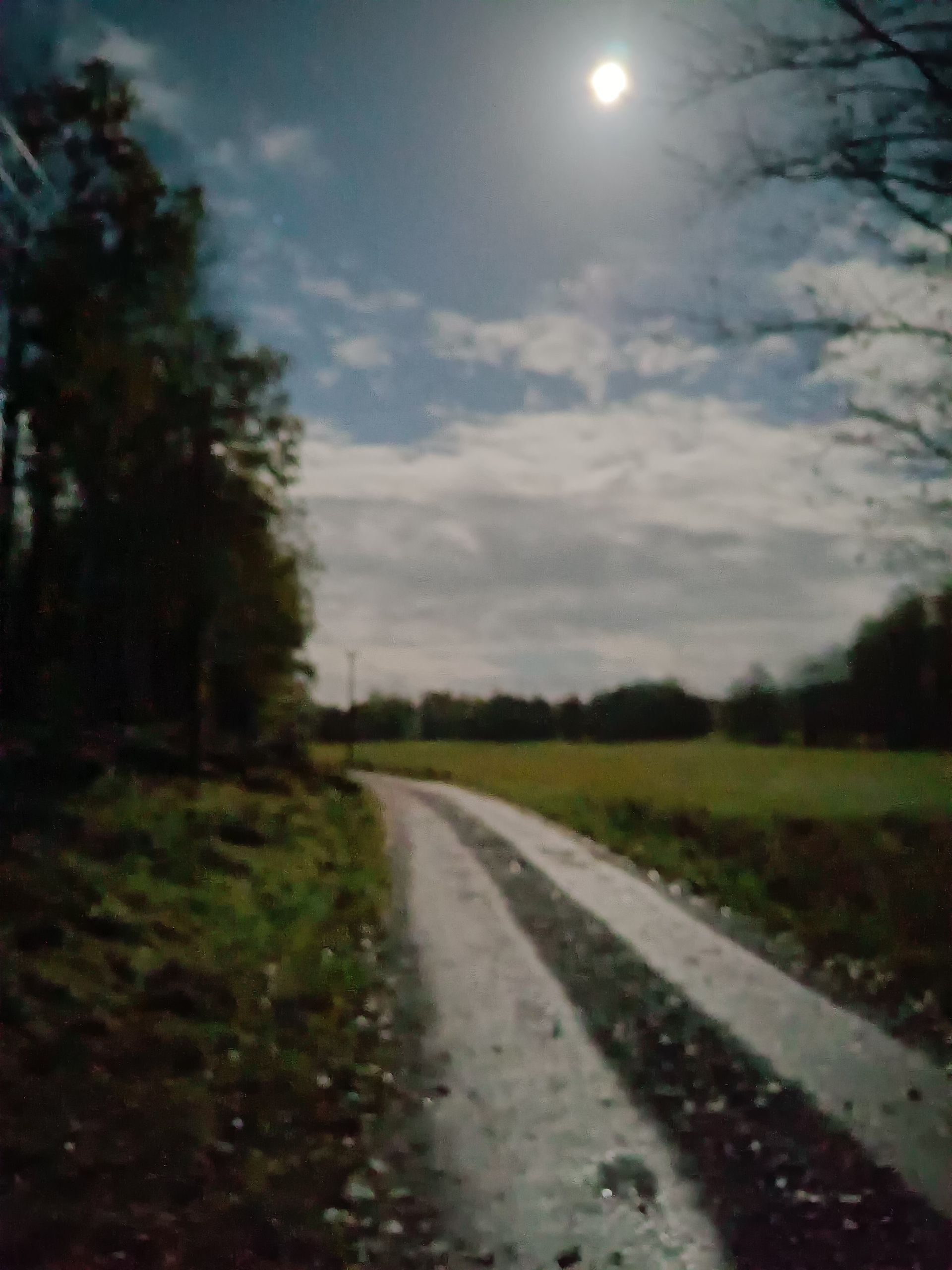 grusväg och fält i mitt i natten, men ljust exponerat tack vare mobiltelefonens mörkerläge