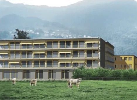 Eine Gruppe Schafe grast vor einem großen Gebäude