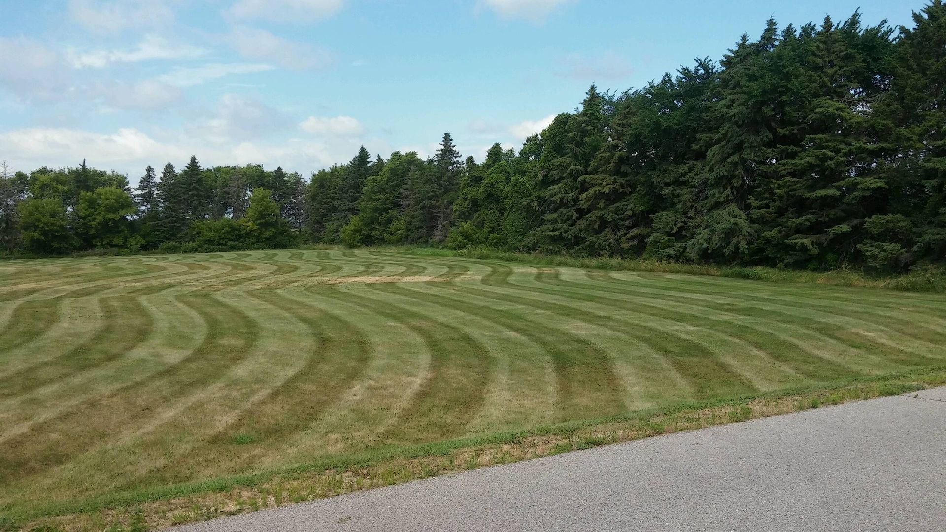 Lawn Care Service Done — Hutchinson, MN — Green Earth Lawn Care