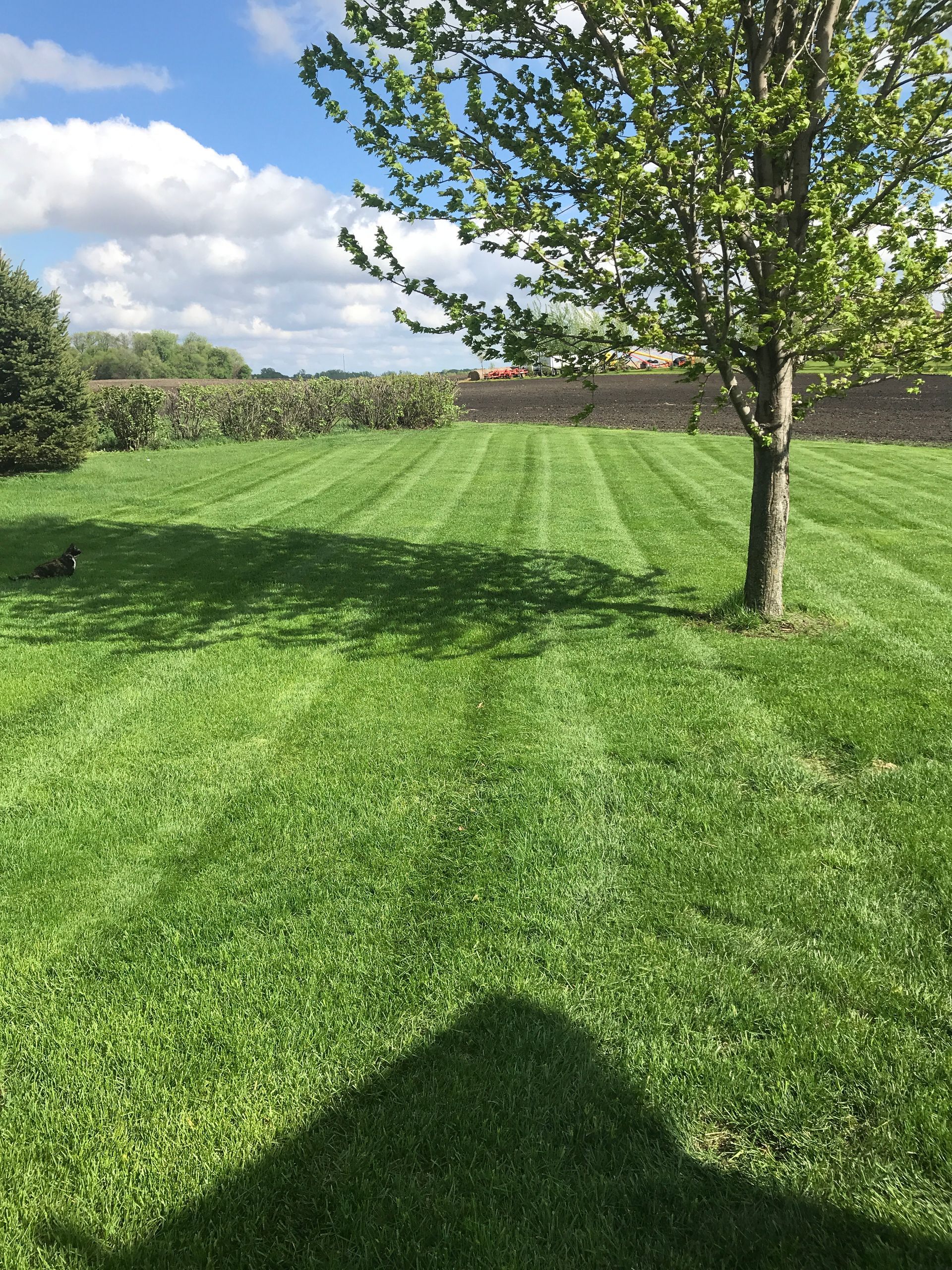 Lawn Portfolio | Hutchinson, MN | Green Earth Lawn Care